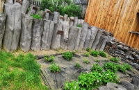 IMG_20190502_124444-001