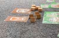 206556204_3887210571388547_6918352283950511782_n