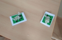 IMG-20210625-WA0005