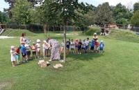 IMG-20210629-WA0000