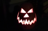 IMG_20211101_192155
