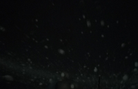 IMG_20211213_110440