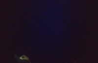 274919016_381897339989973_209798693881371339_n