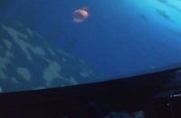 274964573_674902110493283_113934598333612045_n
