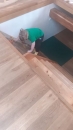 284799938_1068814513729723_494218355519605908_n