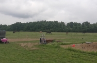 IMG_20220609_104155