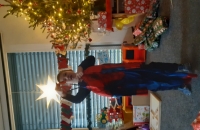 20231220_091029