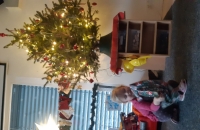 20231220_093724