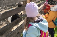 IMG_20250505_094727