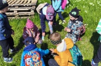 IMG_20250505_101142