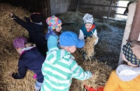 IMG_20250505_103117