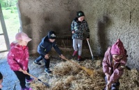 IMG_20250505_103128