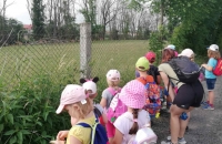 IMG_20210623_091832_compress82