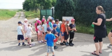 IMG_20210623_093312_compress3
