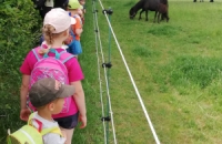 IMG_20210623_094804_compress24