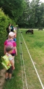 IMG_20210623_094804_compress24