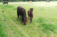 IMG_20210623_094842_compress46