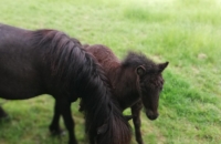 IMG_20210623_094853_compress87