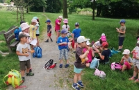 IMG_20210623_101121_compress56