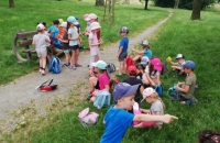 IMG_20210623_101136_compress23