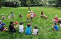 IMG_20210623_103351_compress85