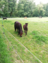 IMG_20210623_094842_compress46