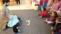 IMG_20241118_083951_1