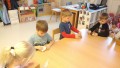 IMG_20241118_093538_1