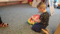 IMG_20241118_093606_1