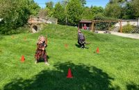 WhatsApp-Image-2025-05-02-at-07.18.22