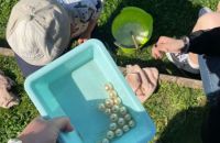 WhatsApp-Image-2025-05-02-at-07.20.12