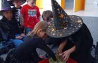 494358101_1359417745317769_5019585100231966862_n