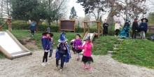 IMG_20220429_104251