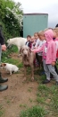 IMG_20220609_091744