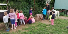 IMG_20220609_092914