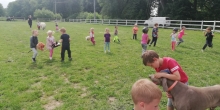 IMG_20220609_101843
