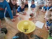 IMG_20190322_101147_result