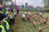 437201225_1699444520796607_2445092379709831764_n