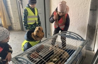 437205617_778344984397640_1268585260465419019_n