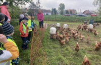 437290509_1549046962340009_1290560550493004794_n