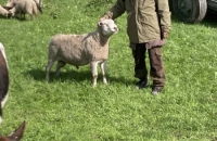 437302893_278961715281721_7493037740741873339_n