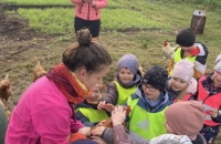 437309135_1145378363447086_197555811890495112_n