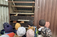 437328517_1484296828825478_2455686921174607992_n