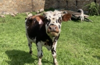 437564623_459563549936924_5940954781412853115_n