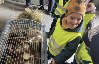 437588788_948105010116508_5436099989205270644_n