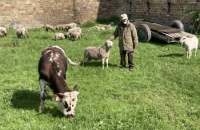 437754675_970624848032127_5582027301395387138_n