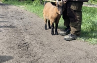 440765009_3687199204881826_2988382078552269368_n