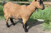 440774735_724839623198855_5972685801000772453_n