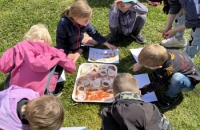 Den Země - Rozárium-062