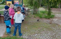 IMG20220428105251